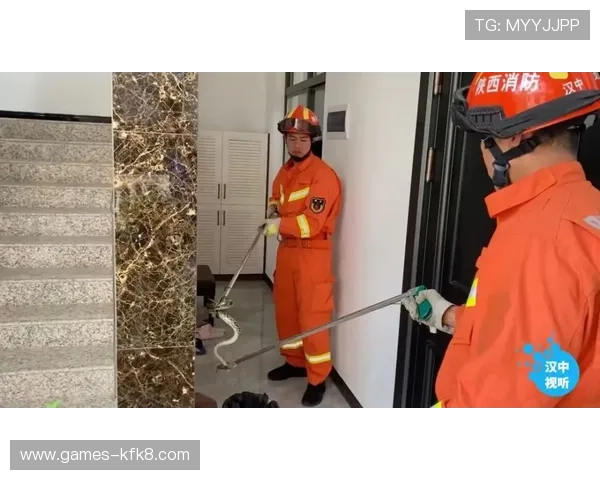 凯发PA电子游艺平台最新玩法介绍与安全保障措施详解 凯发PA电子游艺平台最新玩法介绍与安全保障措施详解